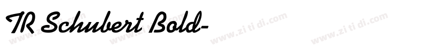 TR Schubert Bold字体转换